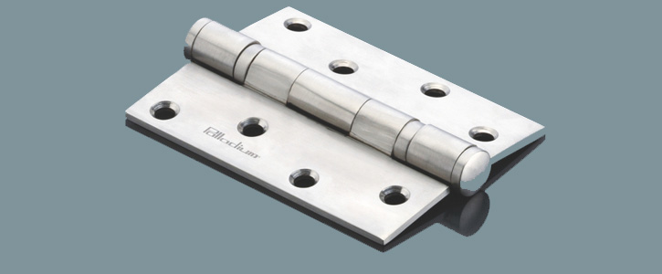 SS 304 Hinges with Bearing